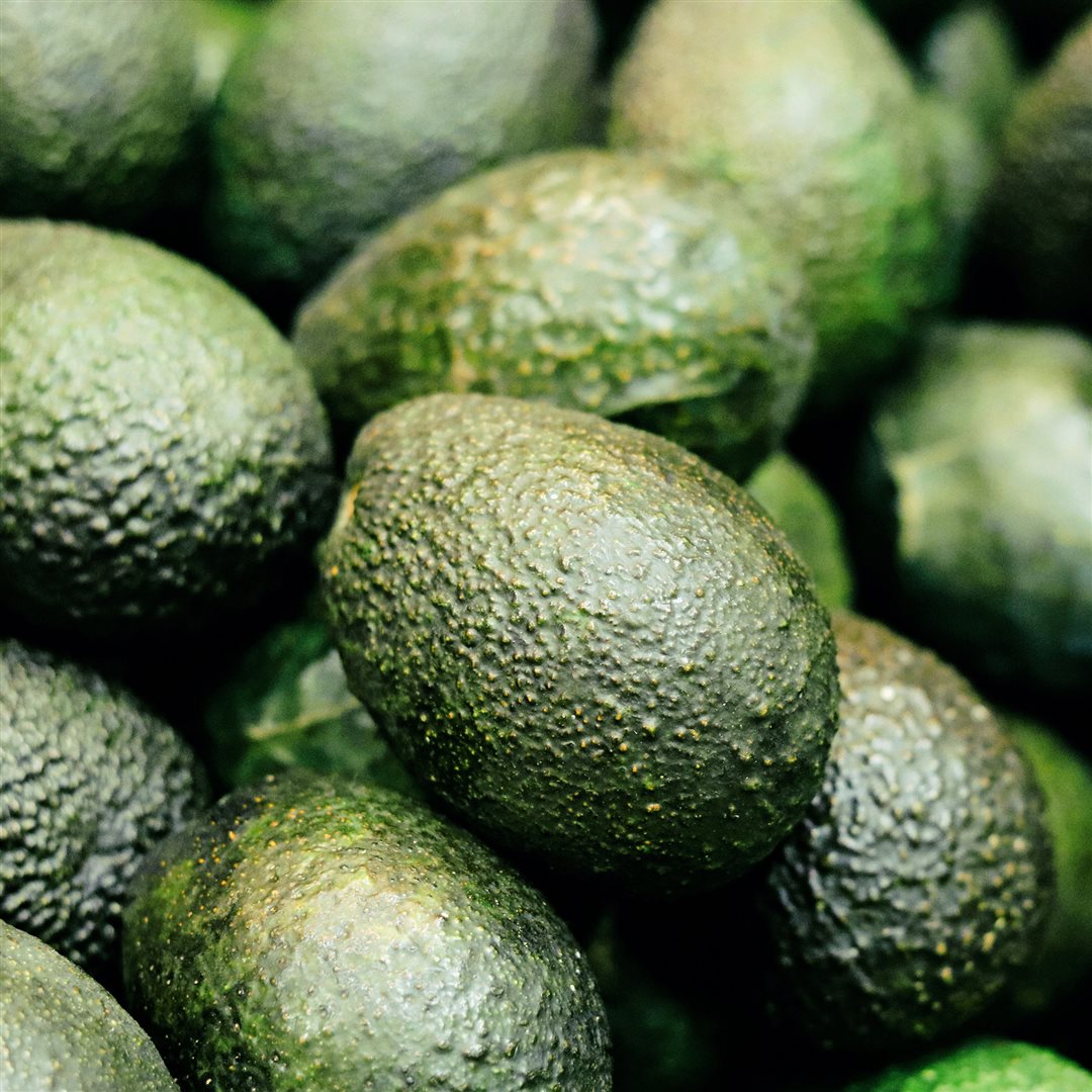 RAUSCH Farbschutz Spülung mit Avocado Benu ch