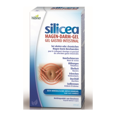 hübner Silicea Magen Darm Gel (#)