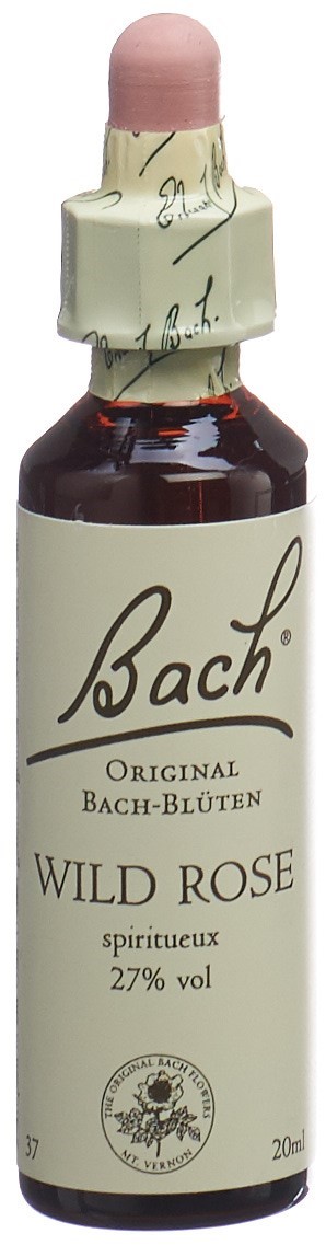 Bach Original Wild Rose No37
