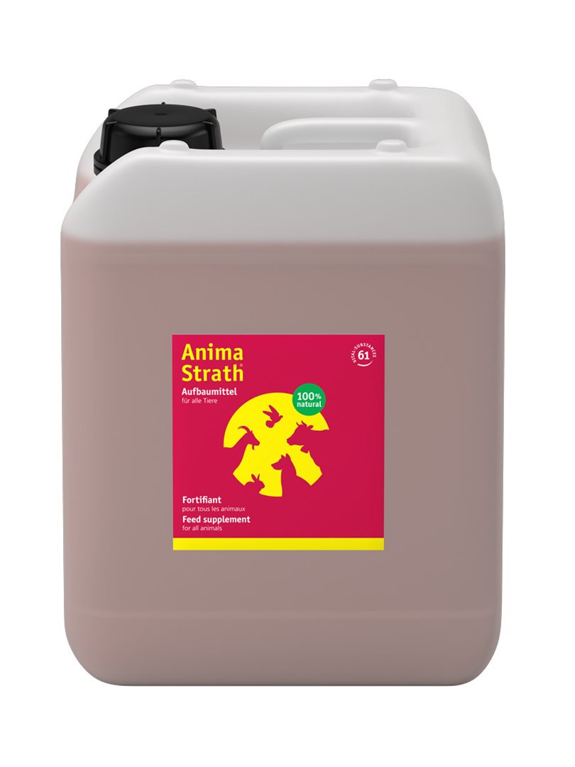 Anima Strath flüssig