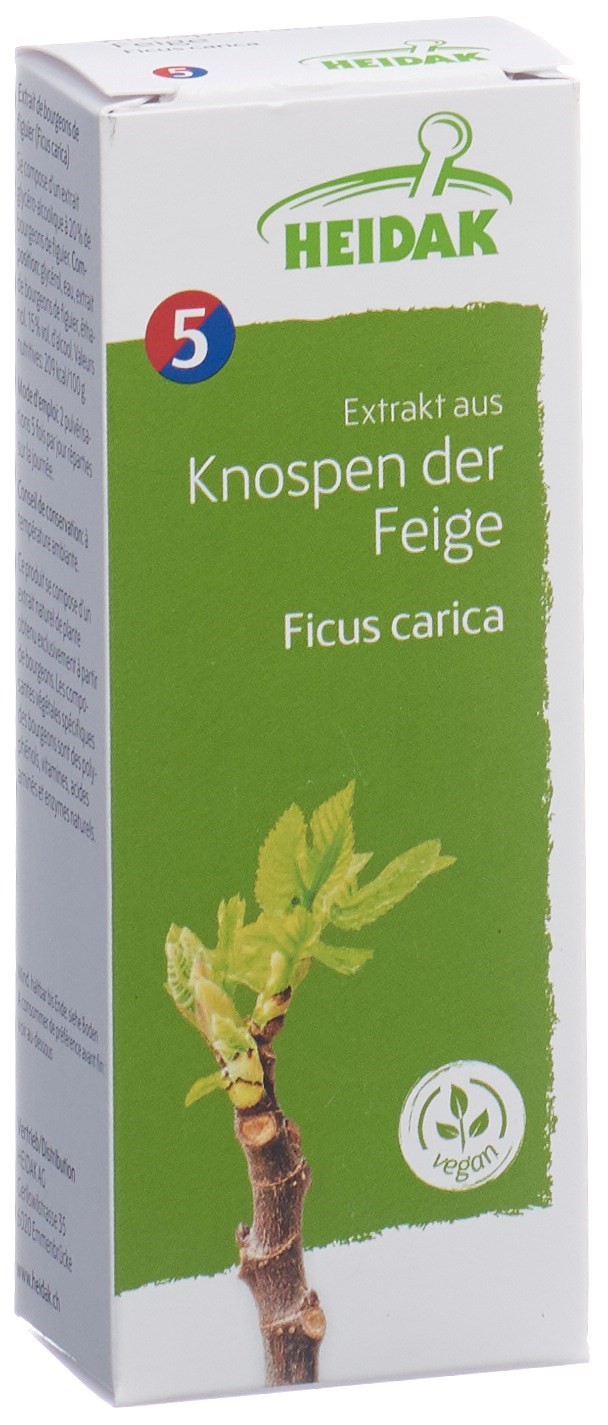 HEIDAK Knospe Feige Ficus carica Glyc Maz