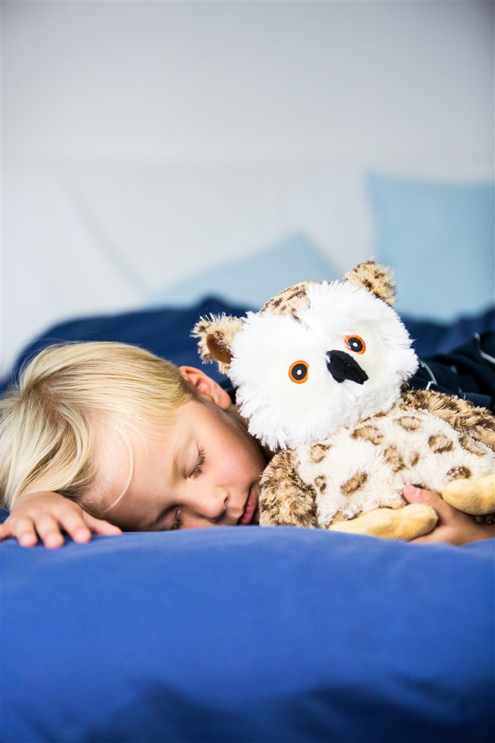 Habibi Plush Eule 30cm
