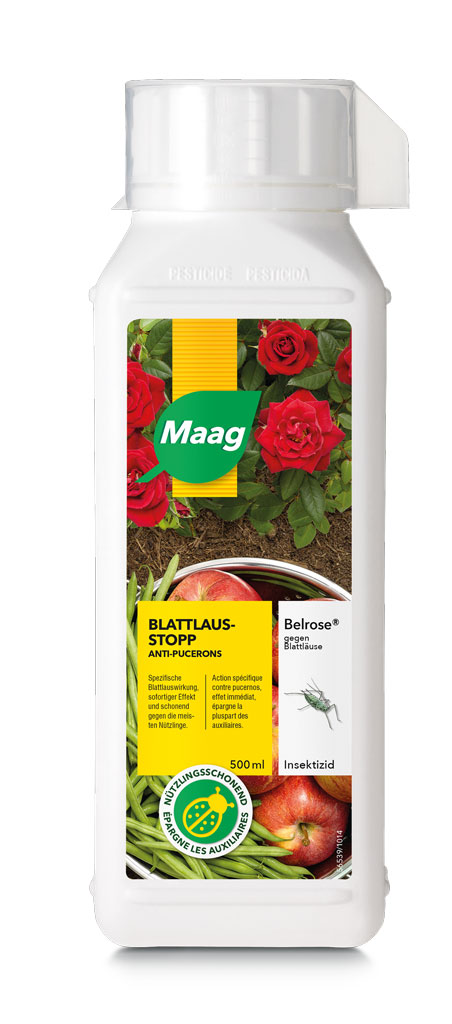 Belrose gegen Blattläuse Konzentrat