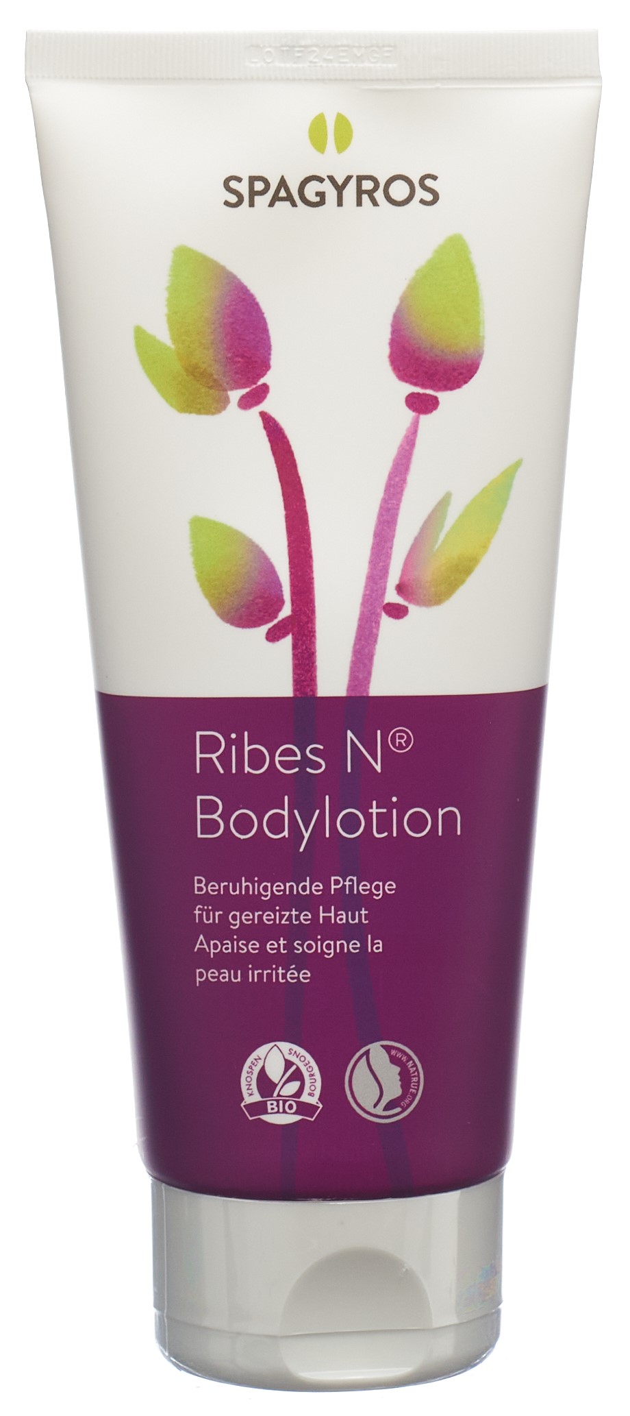 Spagyros Ribes N Bodylotion