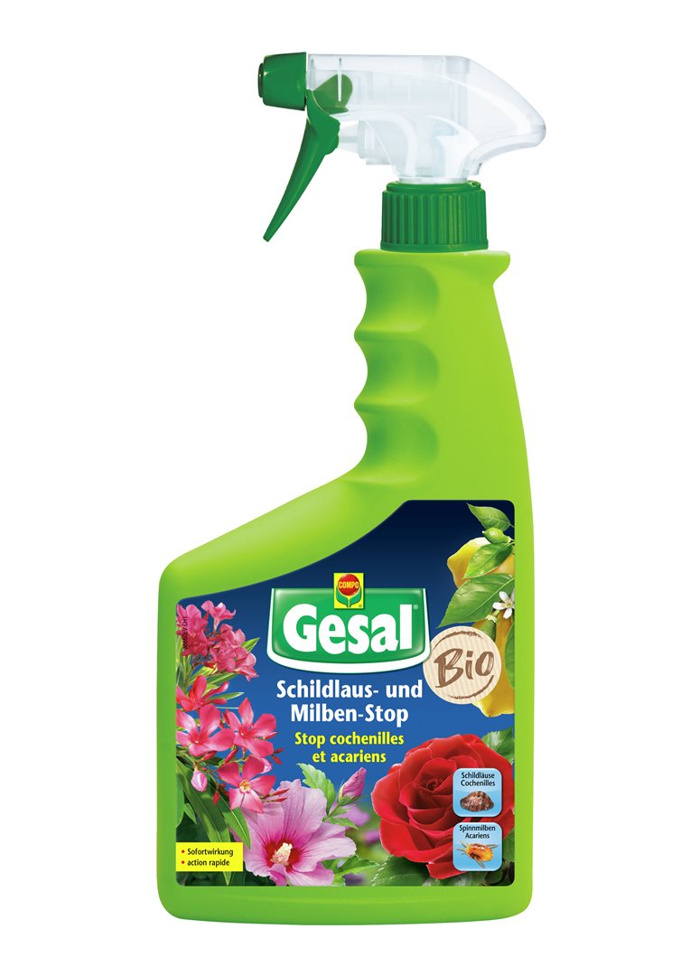 Gesal Schildlaus- und Milbenstop