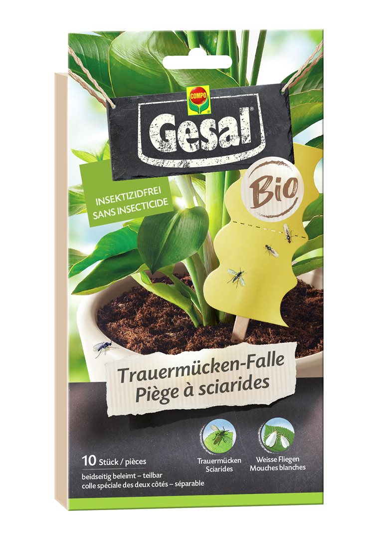 Gesal Trauermücken-Falle Bio