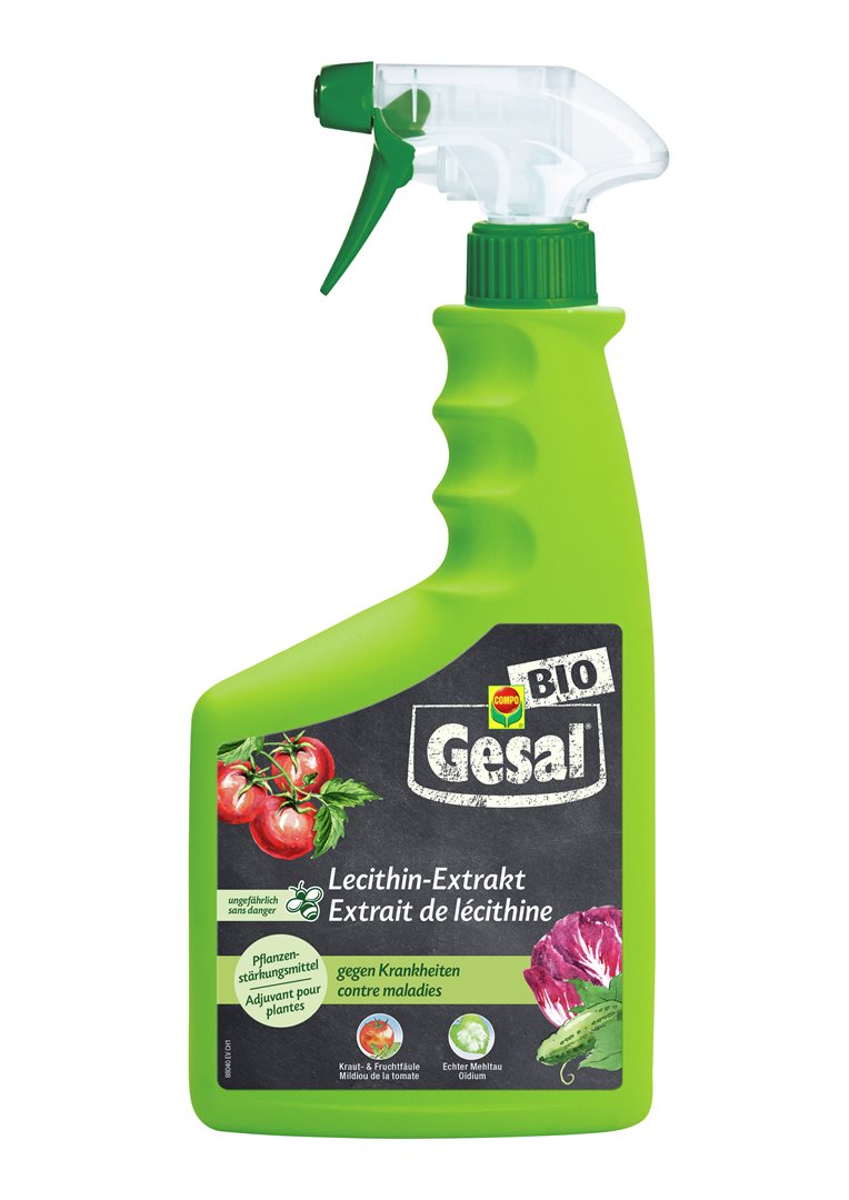 Gesal Lecithin-Extrakt