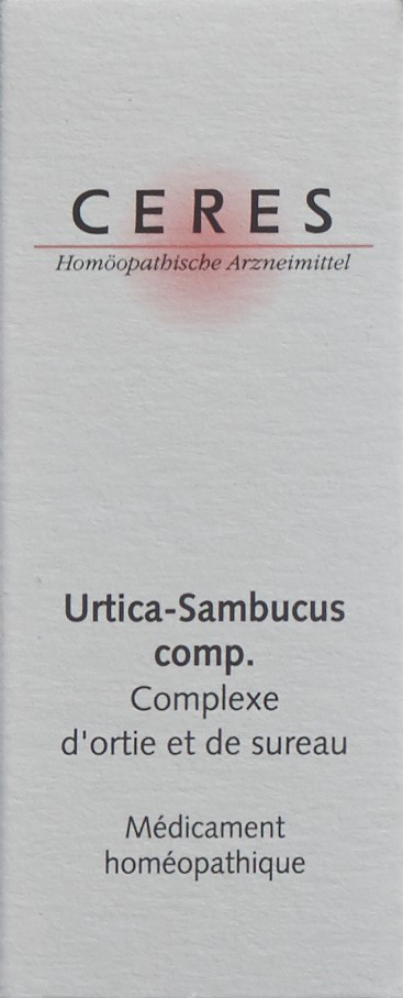 gummibaum sonne Gummibaum Ficus Elastica Belize – 3 Pflanzen im Ziertopf, ca. 100 cm –  Zimmerpflanze mit bunten Blättern main image 1